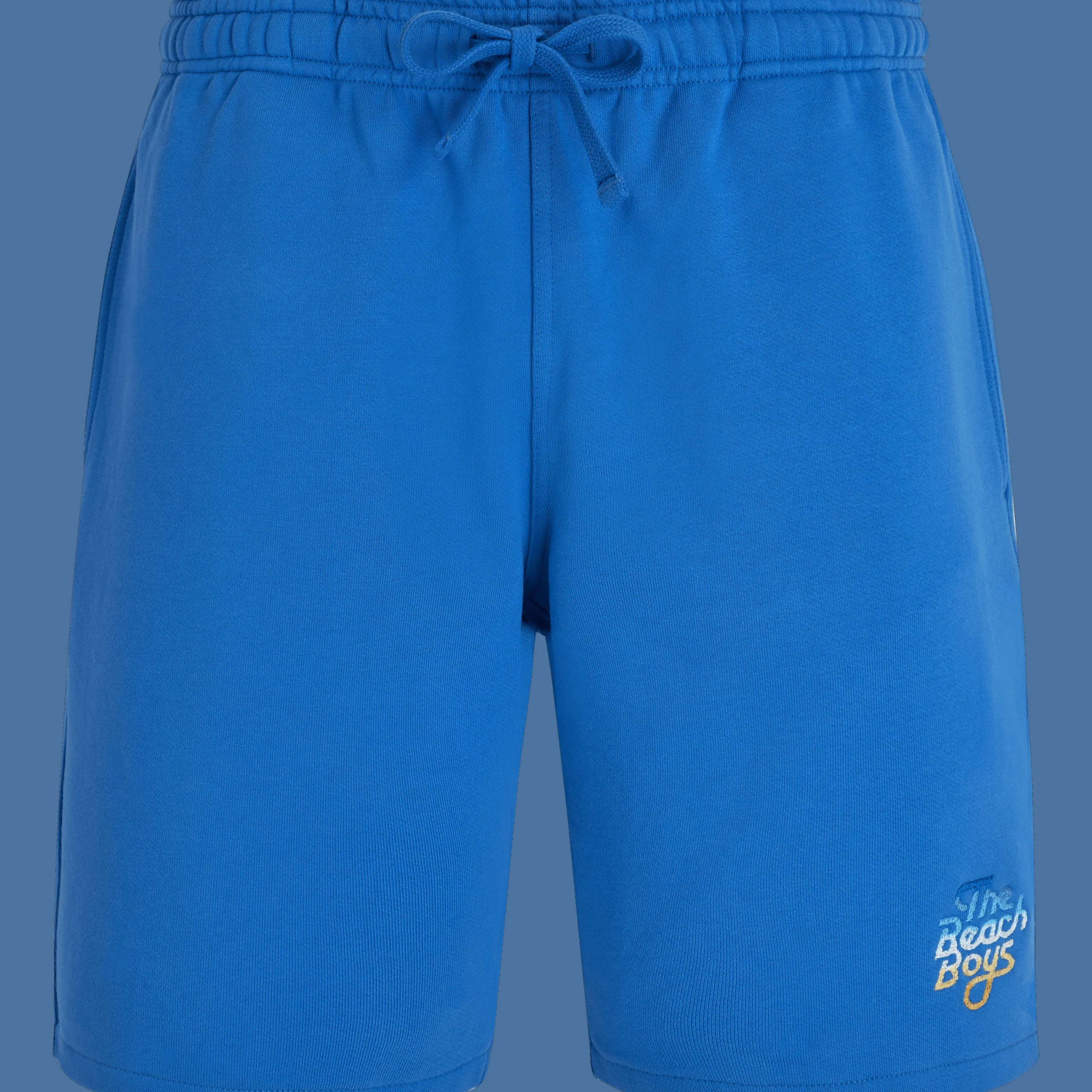 Vilebrequin Men Bermuda Gradient Embroidered Logo - X The Beach Boys*Men Bermuda Shorts