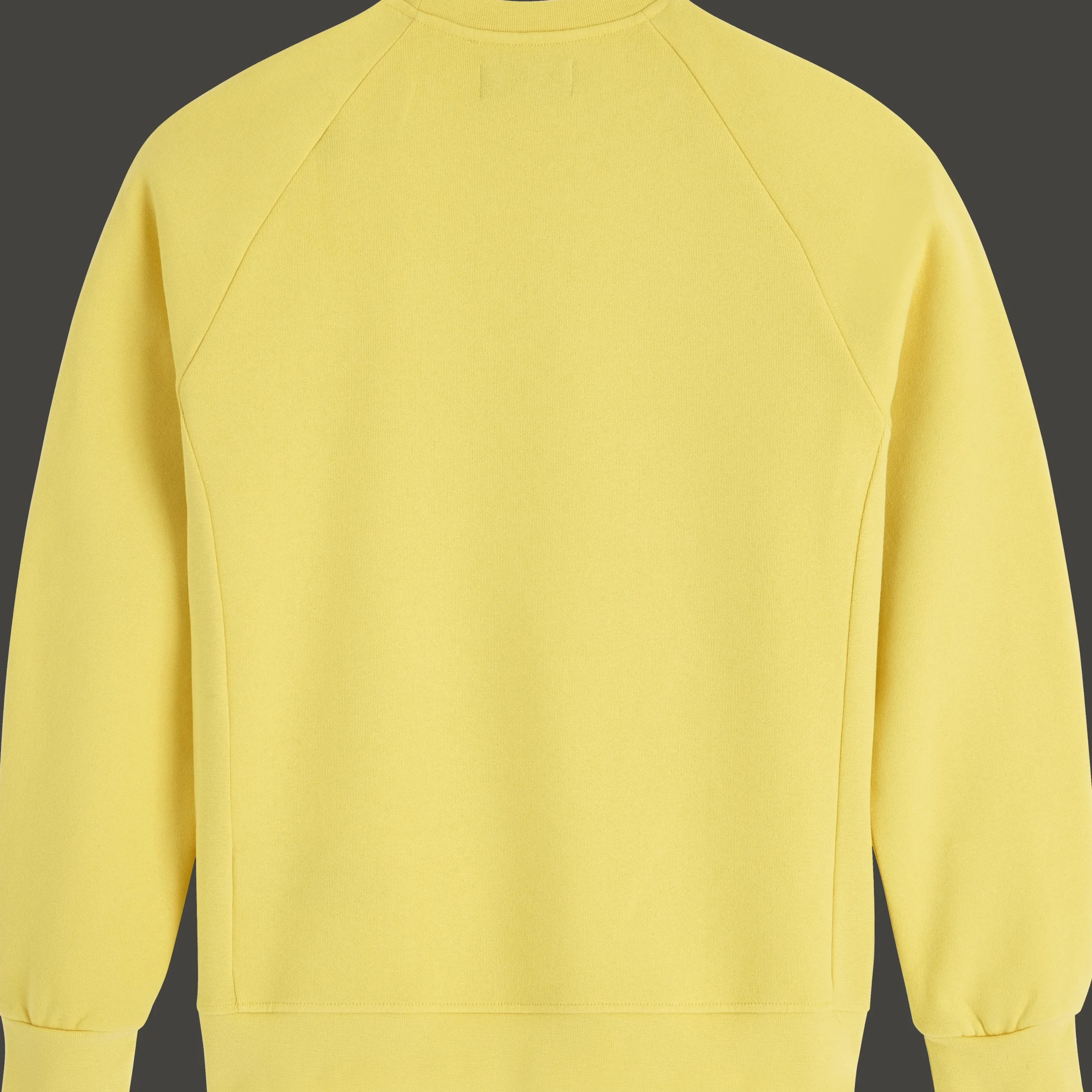 Vilebrequin Men Cotton Sweatshirt Turtle Skier Snow And Sun*Men Sweatshirts