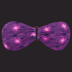 Vilebrequin Women Bandeau Bikini Top Bikini Hypno Shell*Women Bandeau Top